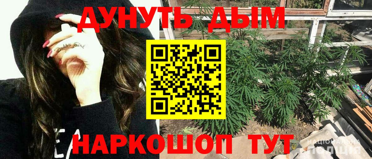 Конопля тримм  Вход с VPN  Клинцы  Марихуана VHQ  Канабис Ganja 